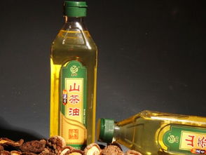 食用油選擇指南 從標簽到搭配，科學選油更健康