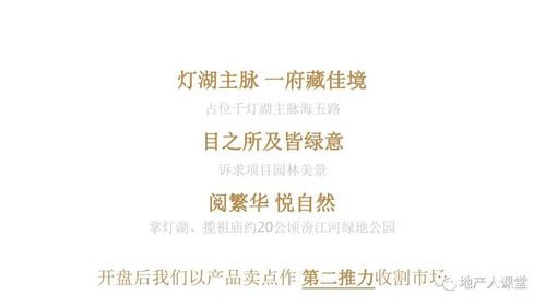 濱江首府項目年度整合推廣與公關(guān)策略方案